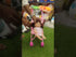 Large 45cm Baby Doll with 70cm Foldable Stroller Little Baby Pretend Play Set