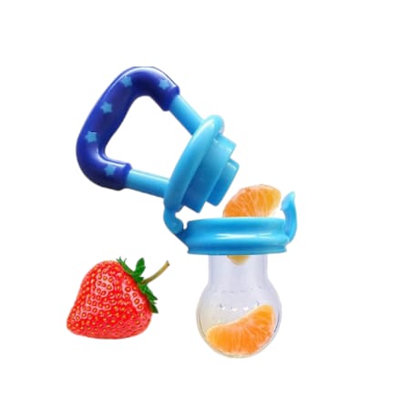 Fruit Pacifier